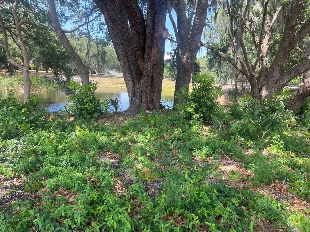 Cr-565a Clermont FL 34711 G5082913 image1