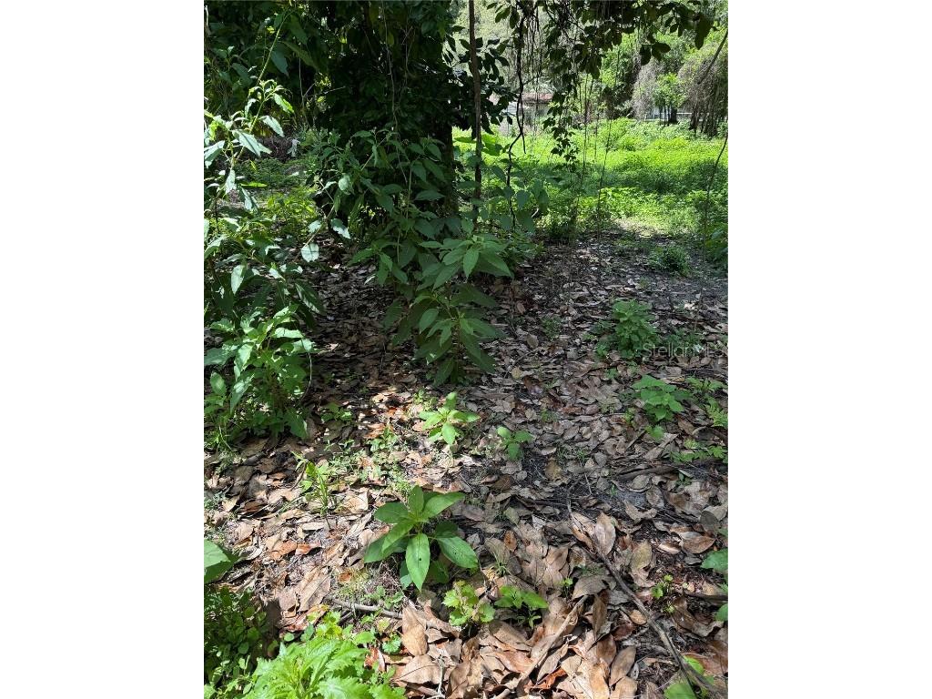 Cr 643 Bushnell FL 33513 T3537024 image1