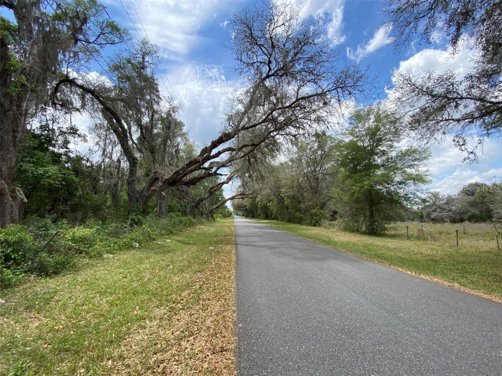 Cr 650 Bushnell FL 33513 G5072298 image1