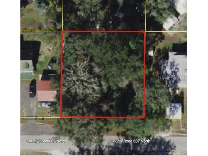 Cr 687 Webster FL 33597 W7884608 image1