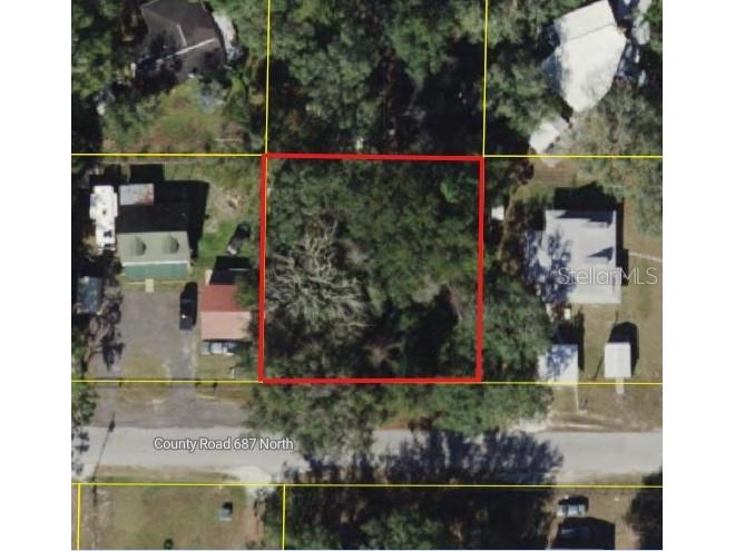 Cr 687 Webster FL 33597 W7884608 image2