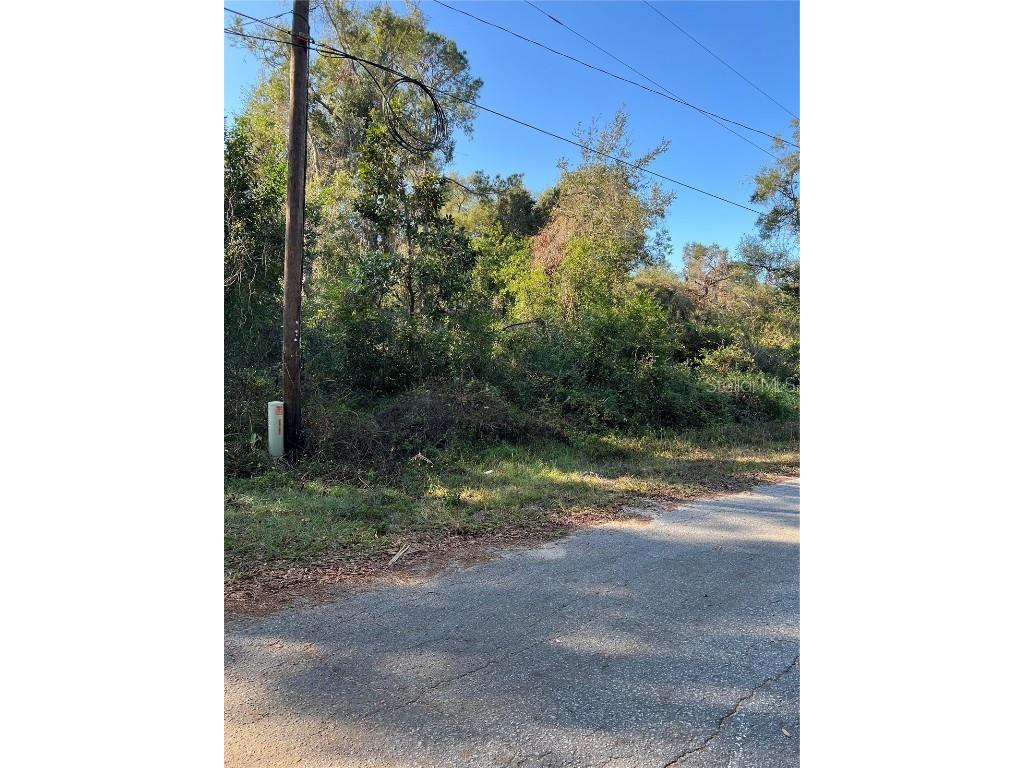 Cr 690 Webster FL 33597 G5090617 image1