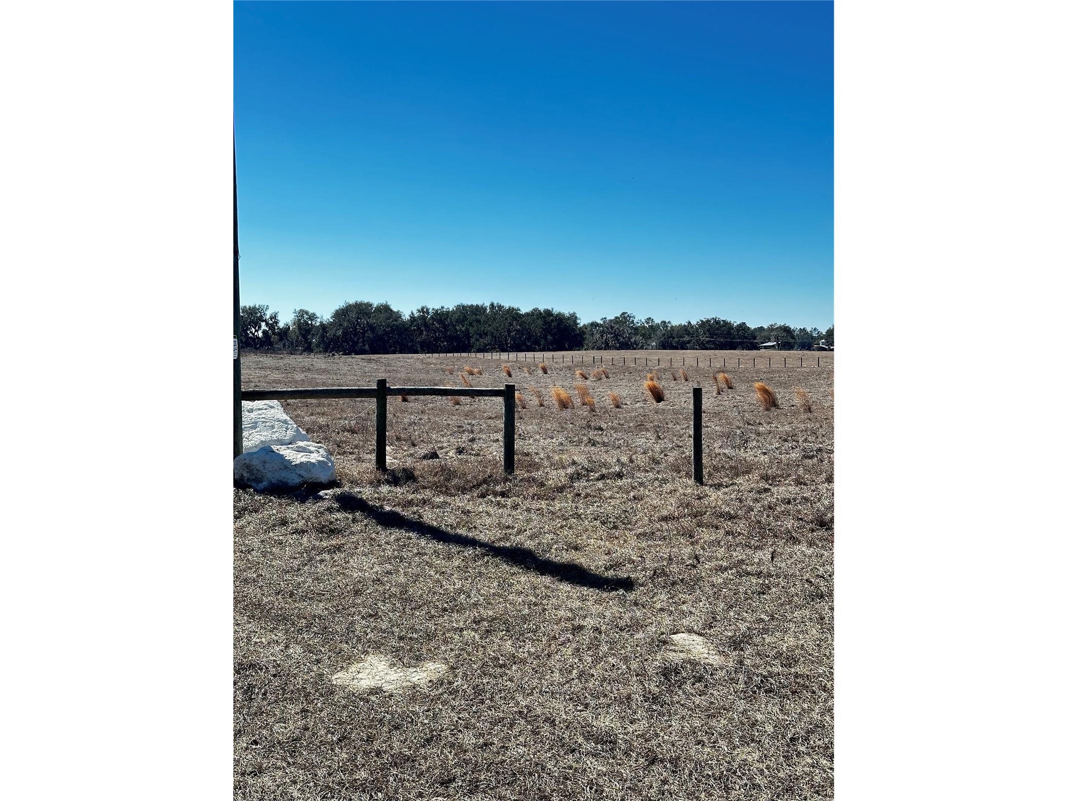 Cr 707 Road Webster FL 33597 TB8473989 image2