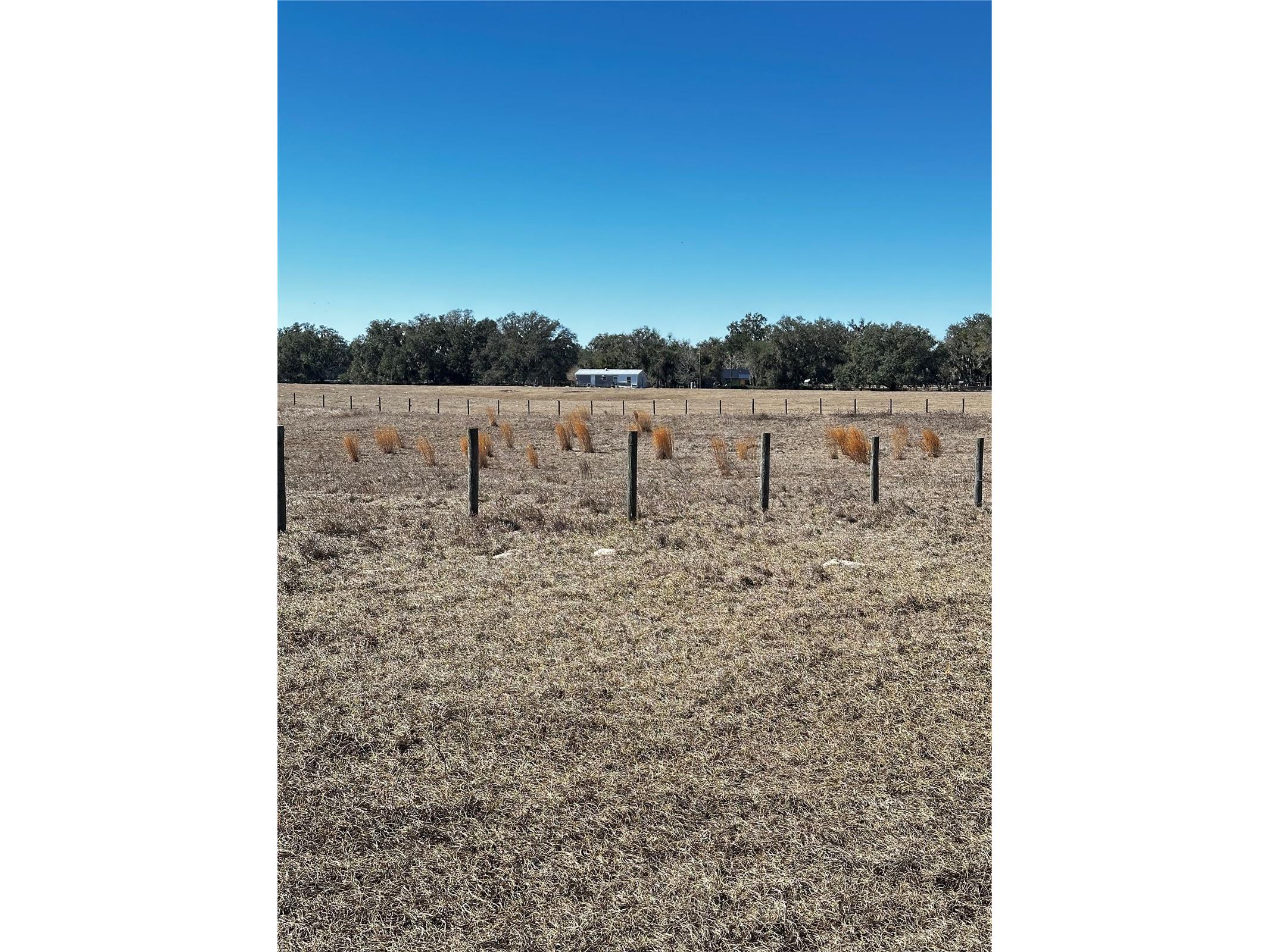 Cr 707 Road Webster FL 33597 TB8473989 image3