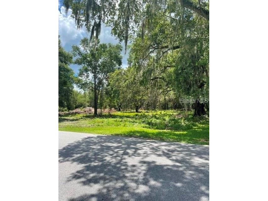 Cr 721 Webster FL 33597 S5096157 image1