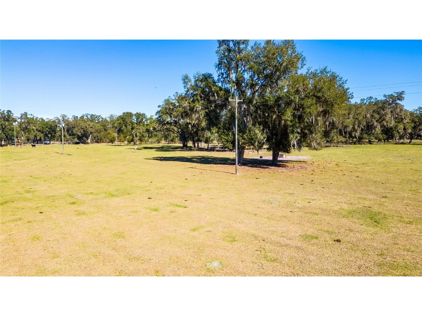 Cr 727 Webster FL 33597 G5077369 image1