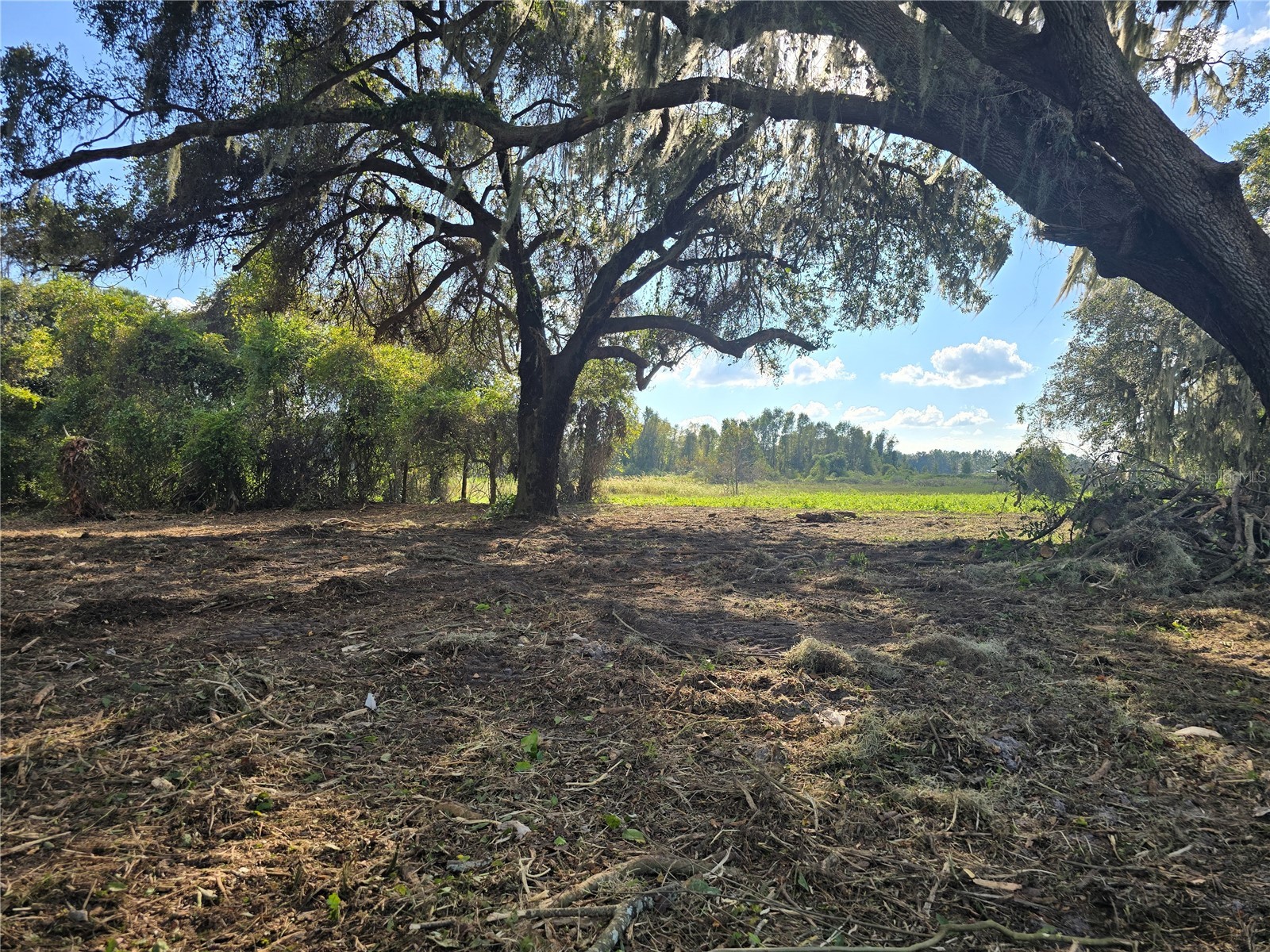 Cr 736 Center Hill FL 33514 OM707838 image10