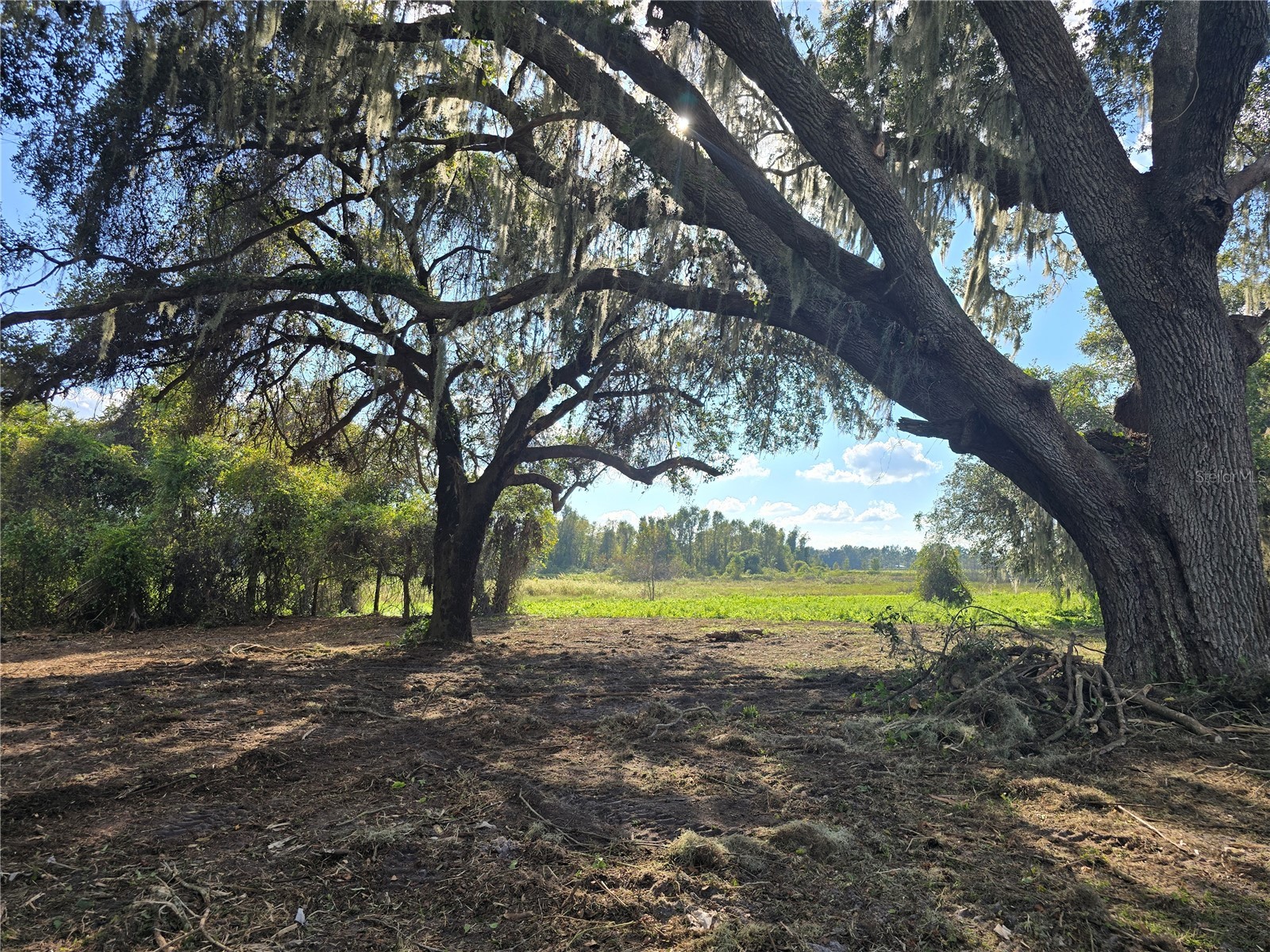 Cr 736 Center Hill FL 33514 OM707838 image12