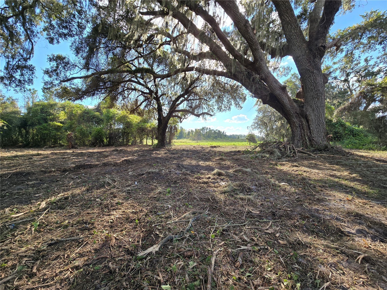 Cr 736 Center Hill FL 33514 OM707838 image13