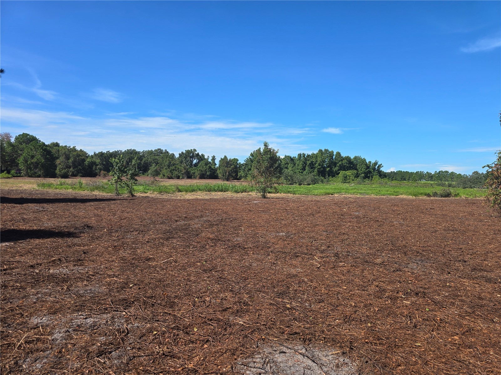 Cr 736 Center Hill FL 33514 OM707838 image16