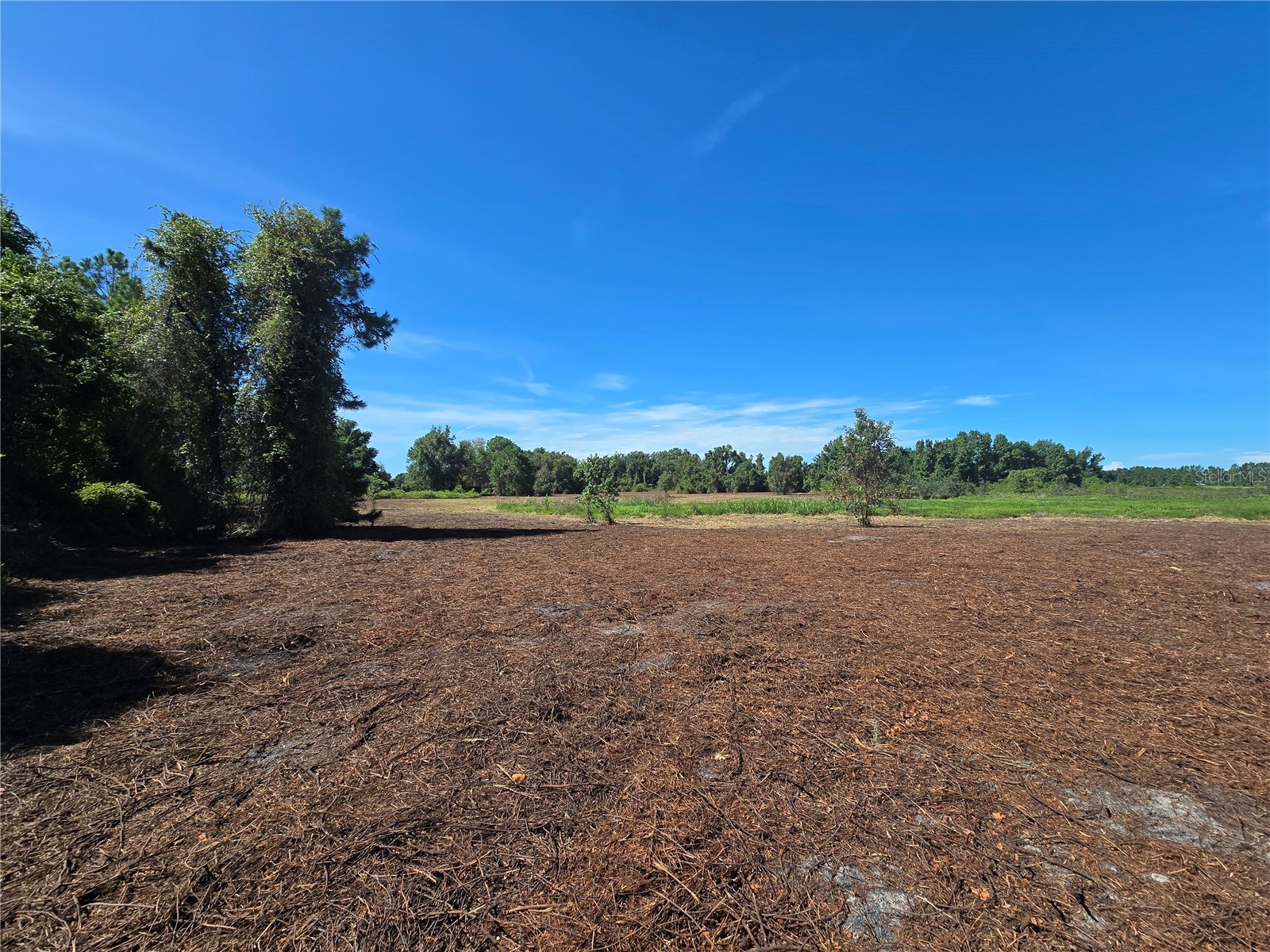 Cr 736 Center Hill FL 33514 OM707838 image17