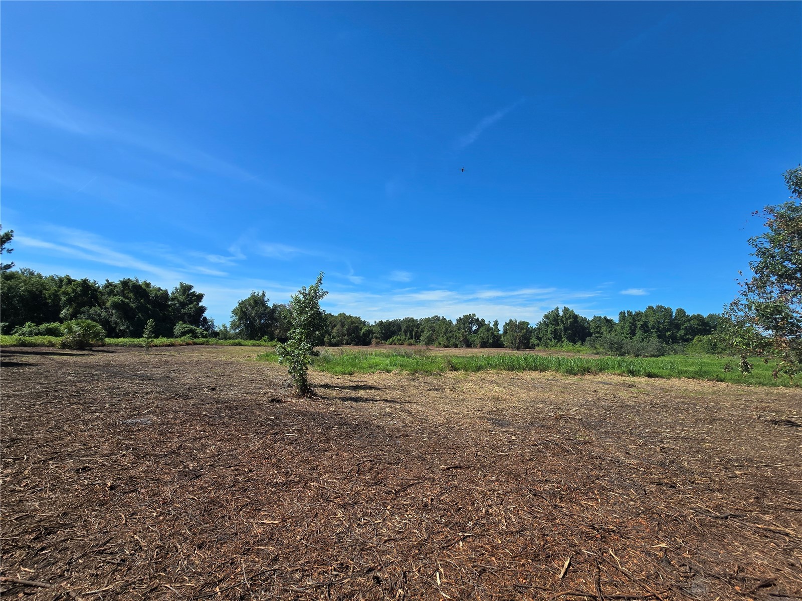 Cr 736 Center Hill FL 33514 OM707838 image18