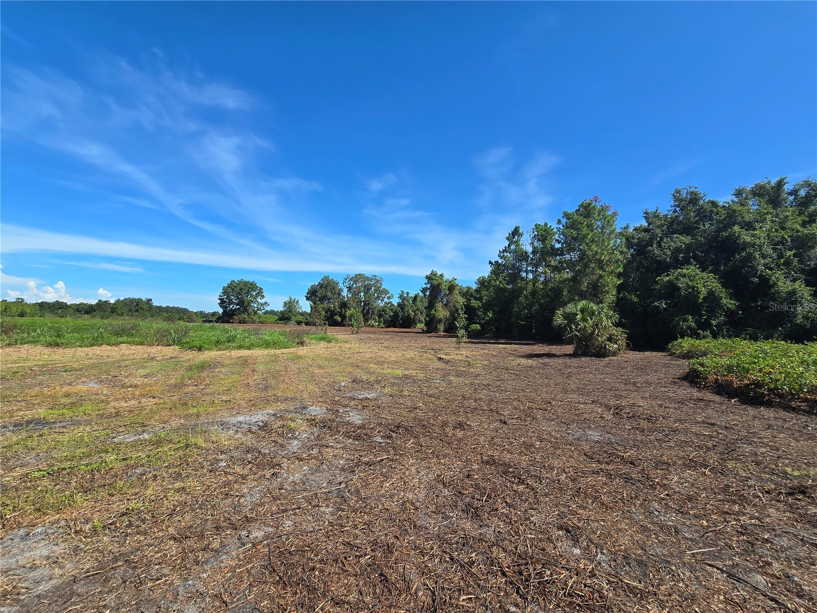 Cr 736 Center Hill FL 33514 OM707838 image21