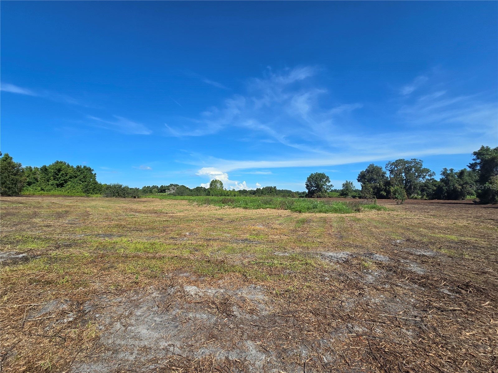 Cr 736 Center Hill FL 33514 OM707838 image22