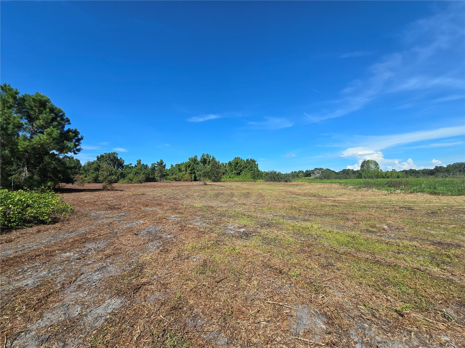 Cr 736 Center Hill FL 33514 OM707838 image23