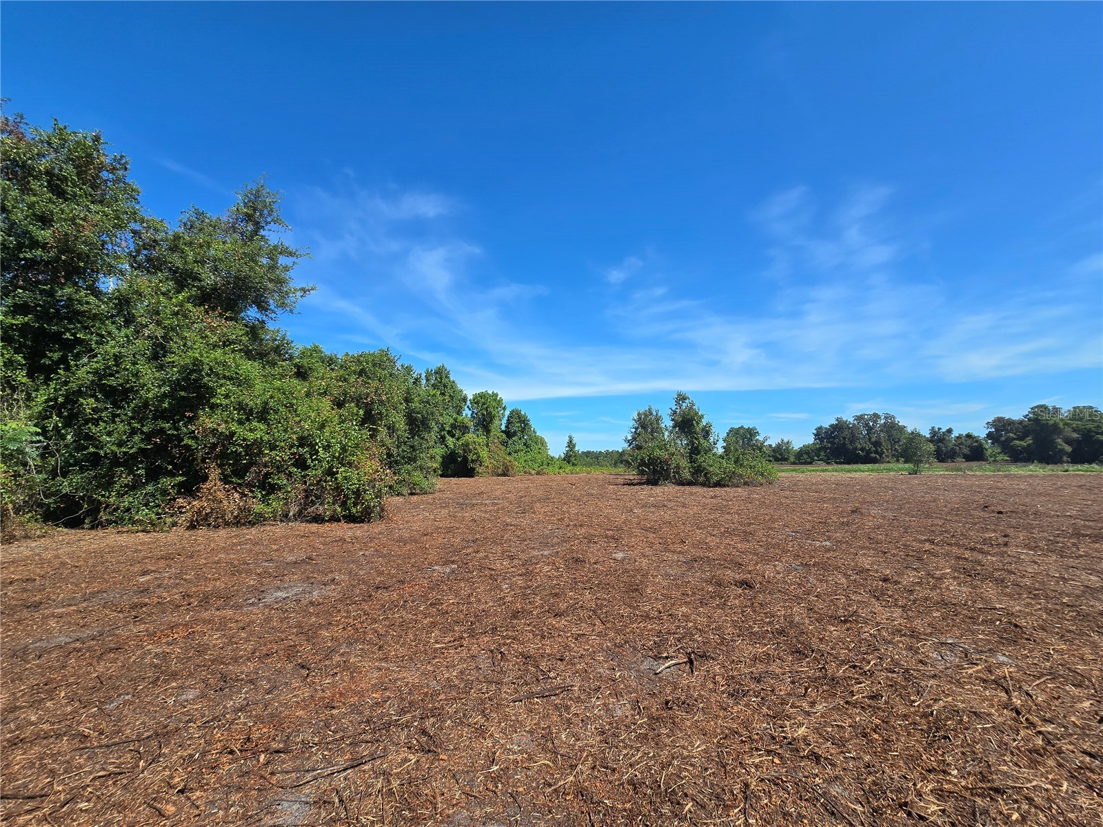 Cr 736 Center Hill FL 33514 OM707838 image25