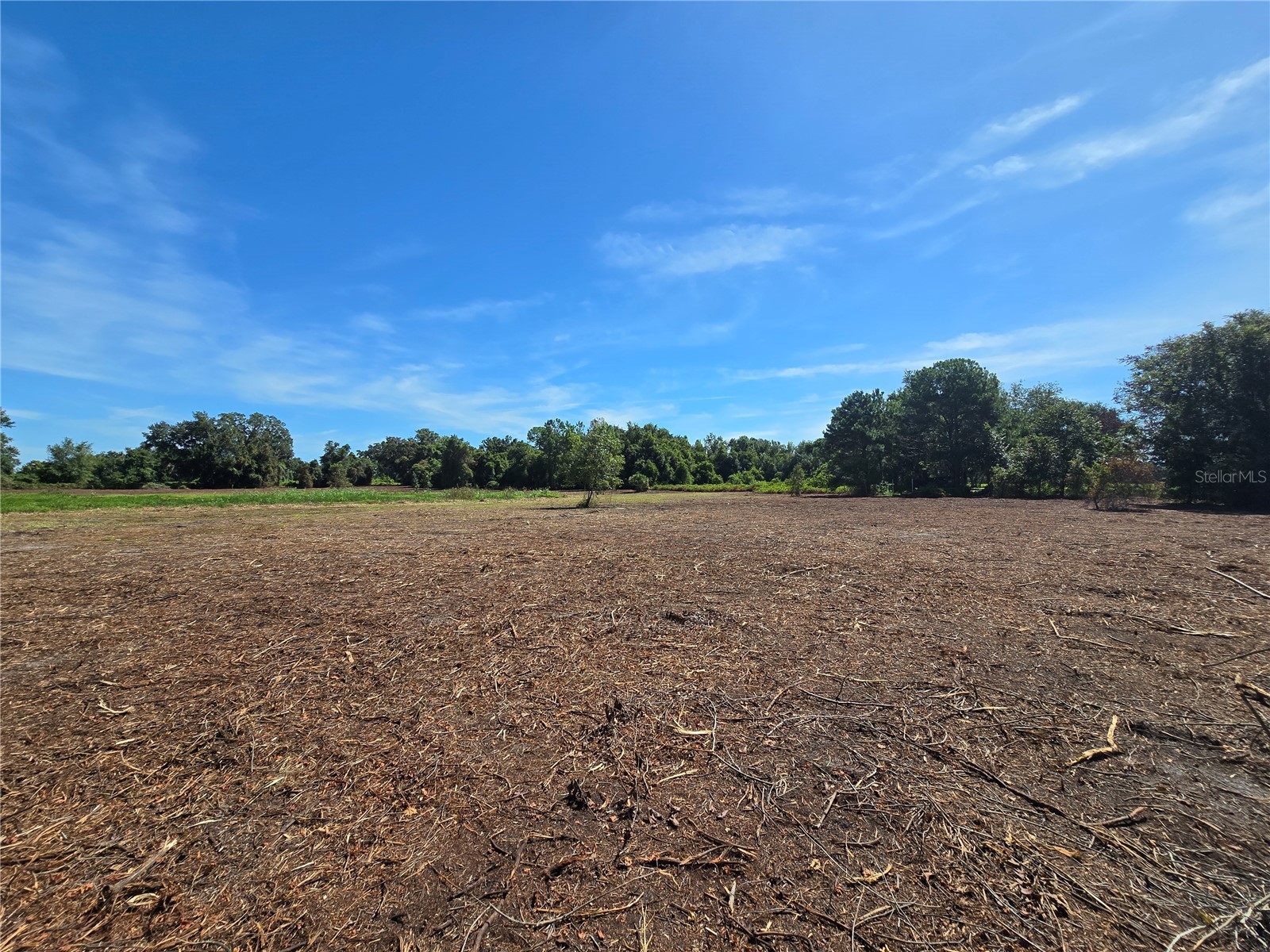 Cr 736 Center Hill FL 33514 OM707838 image27