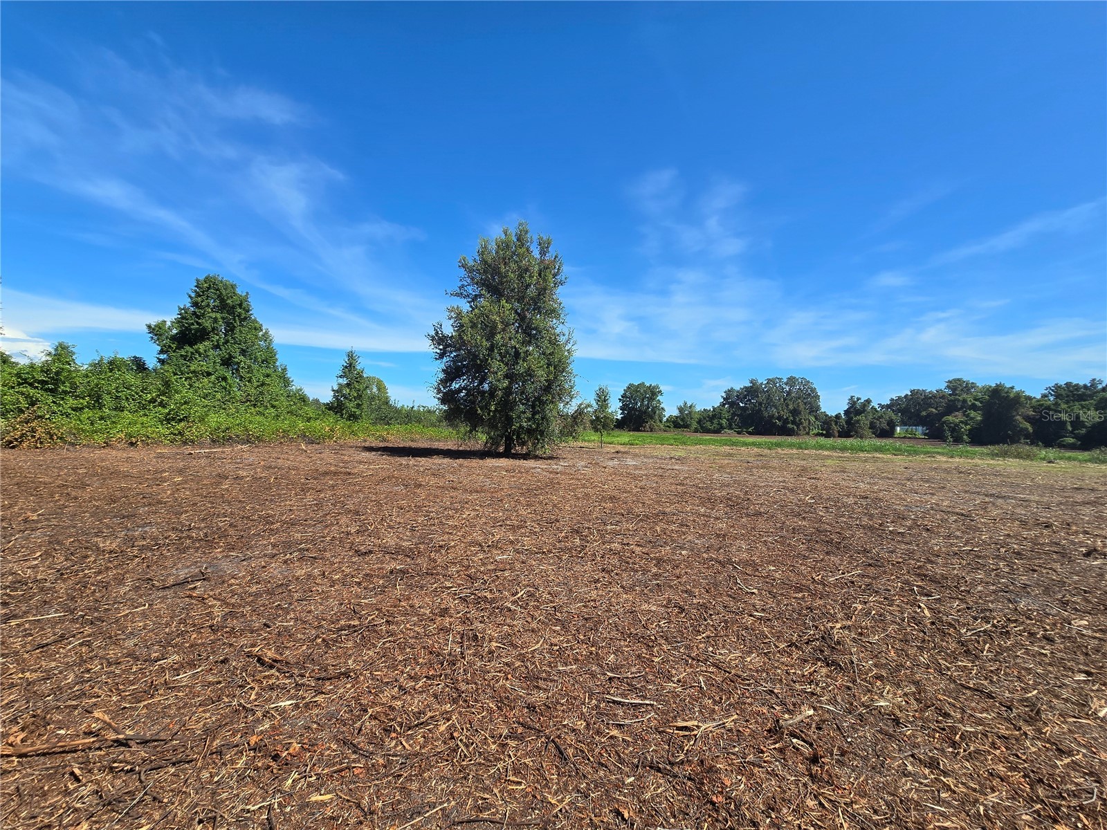 Cr 736 Center Hill FL 33514 OM707838 image28