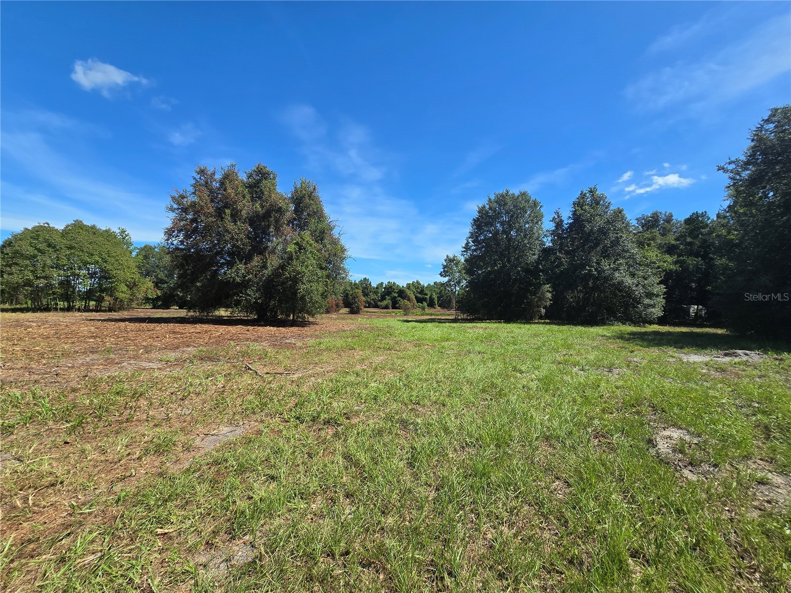 Cr 736 Center Hill FL 33514 OM707838 image31