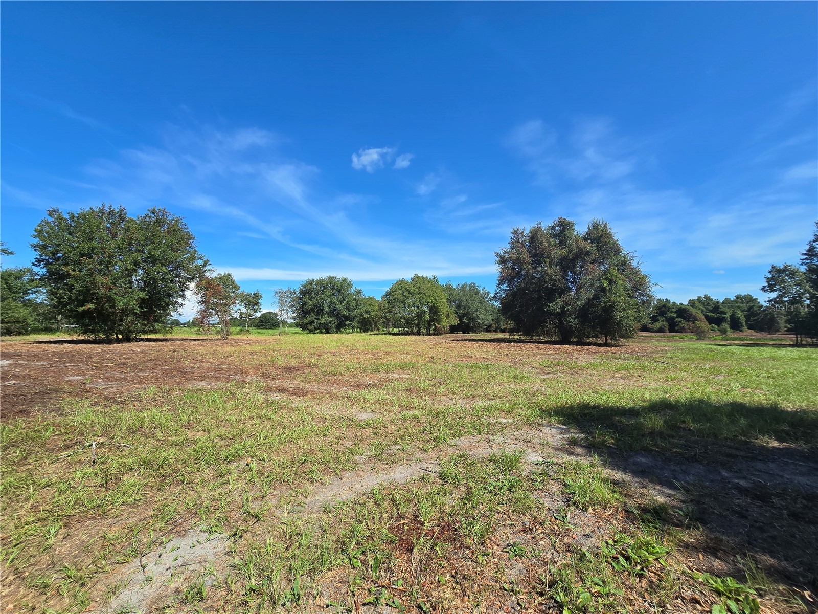 Cr 736 Center Hill FL 33514 OM707838 image32