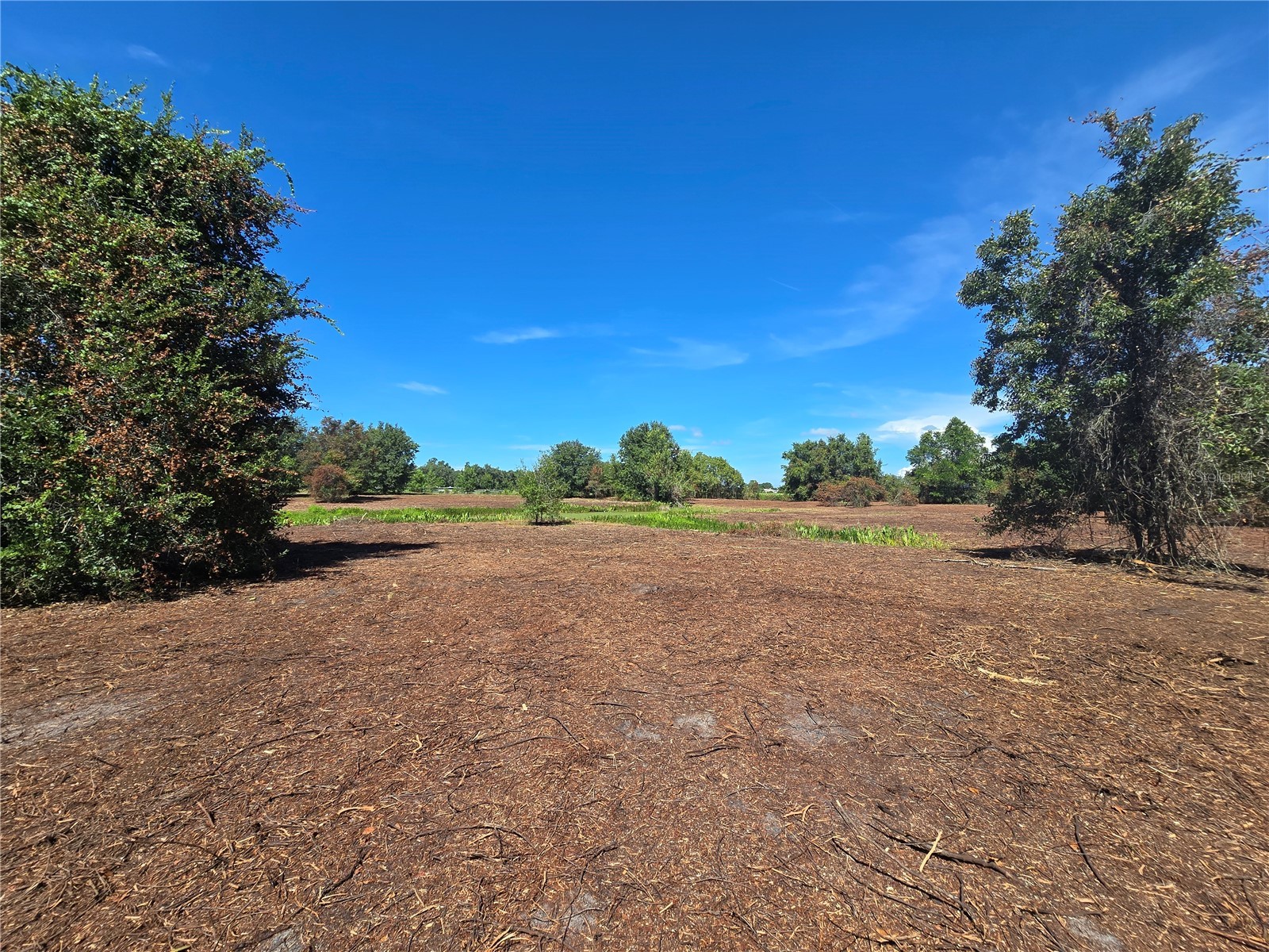 Cr 736 Center Hill FL 33514 OM707838 image34