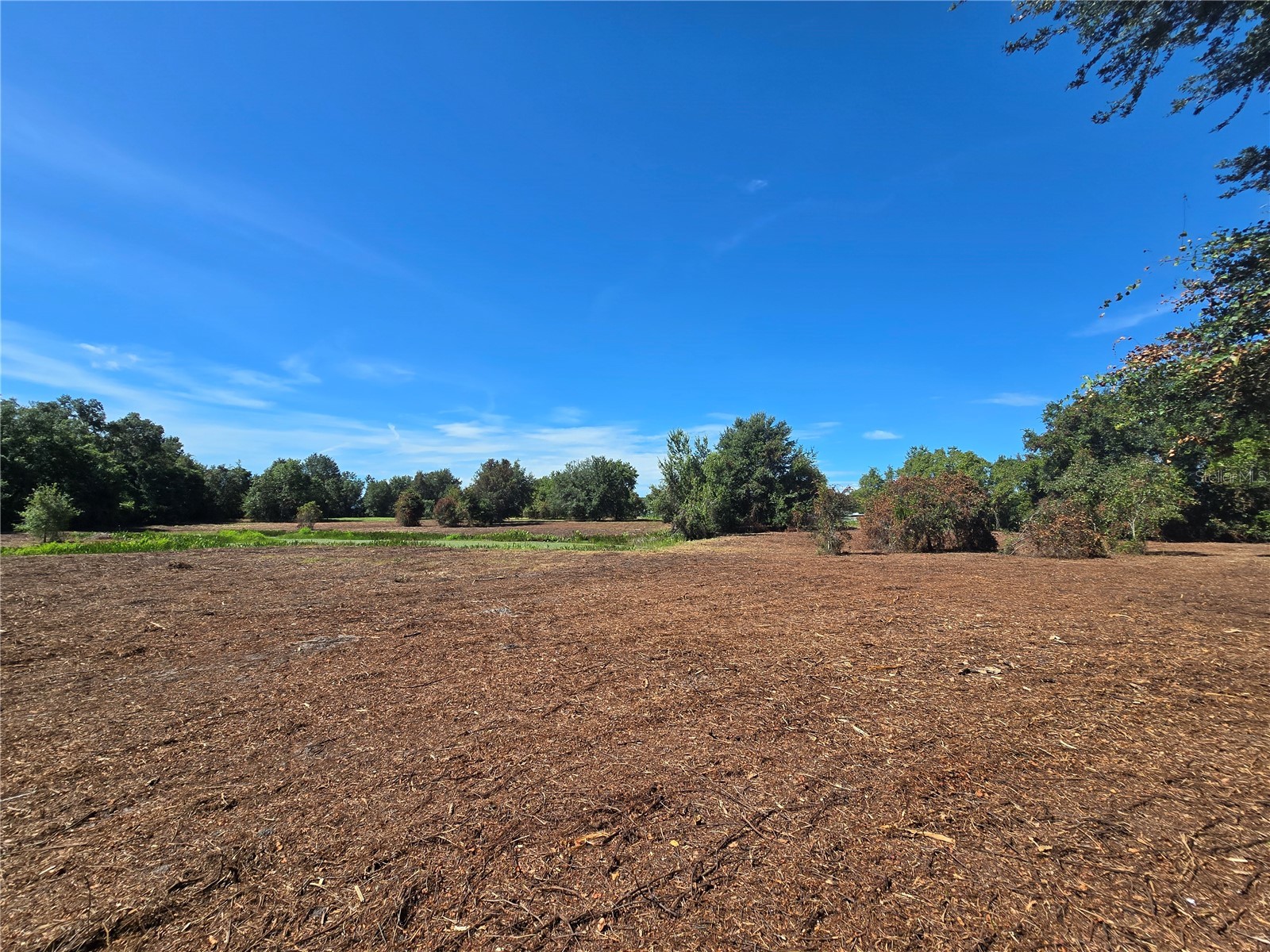 Cr 736 Center Hill FL 33514 OM707838 image35