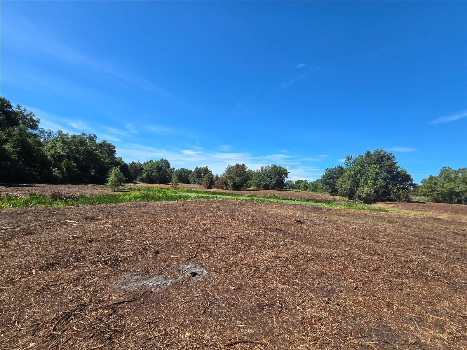 Cr 736 Center Hill FL 33514 OM707838 image37