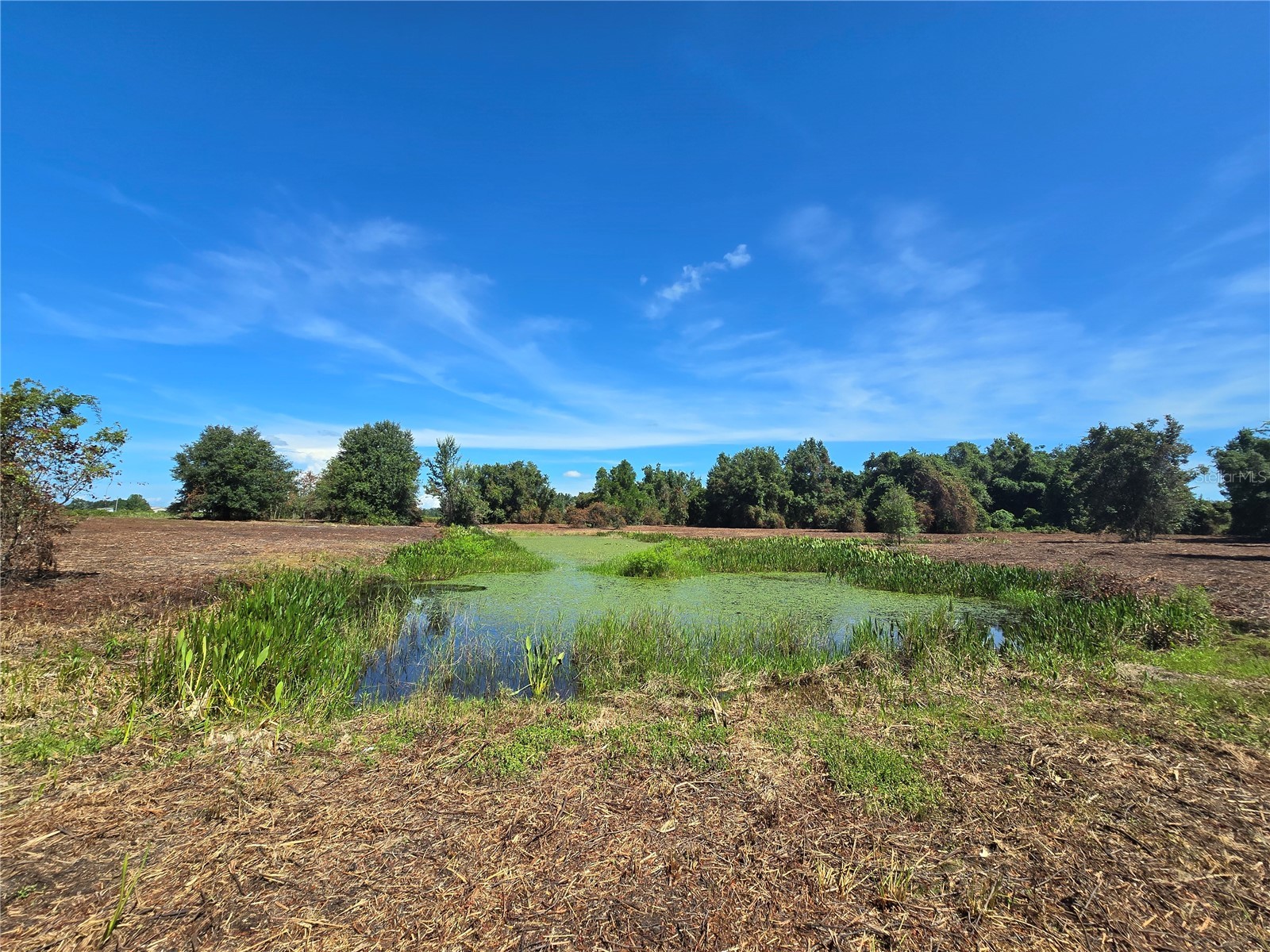 Cr 736 Center Hill FL 33514 OM707838 image38