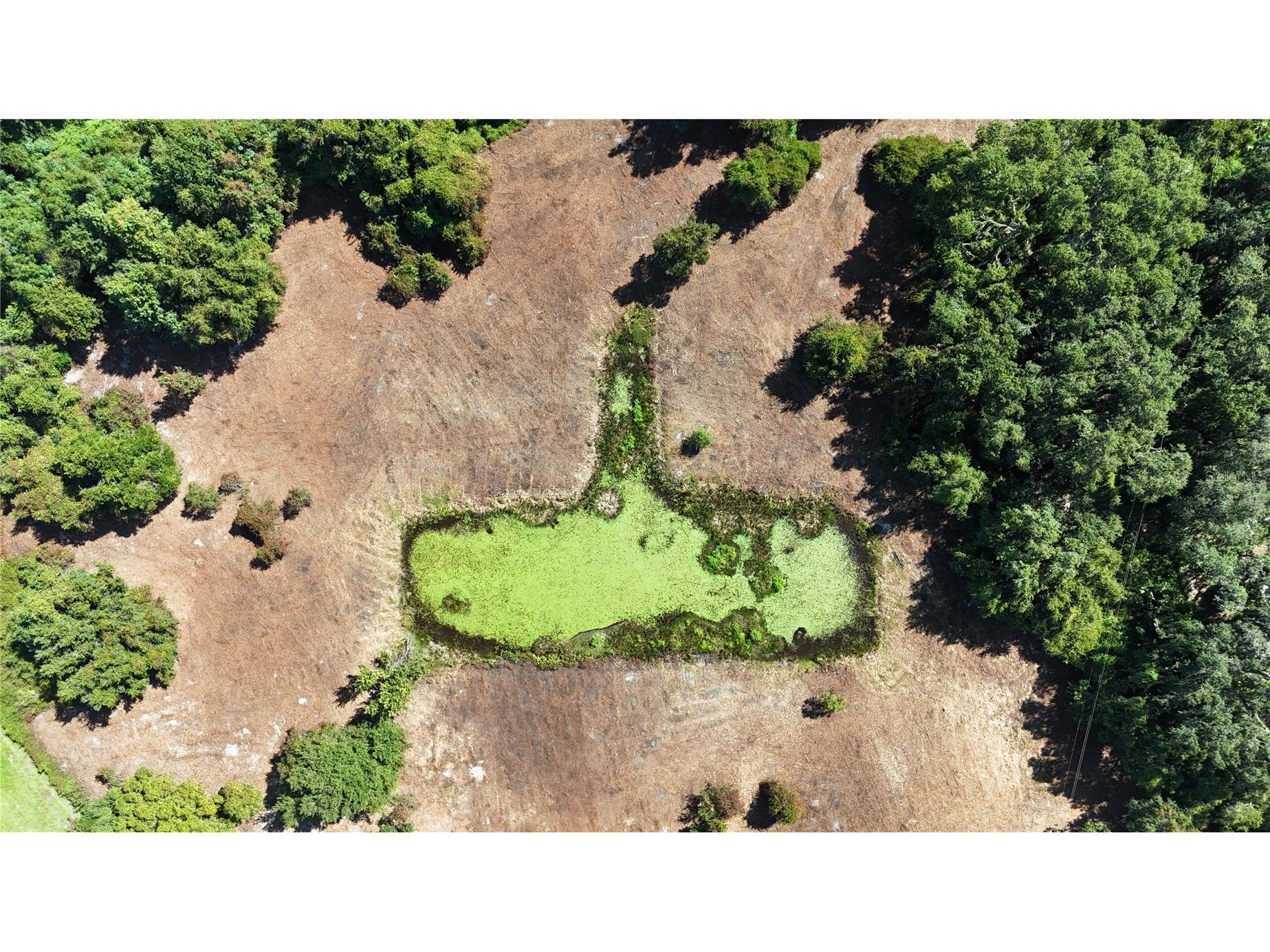 Cr 736 Center Hill FL 33514 OM707838 image42