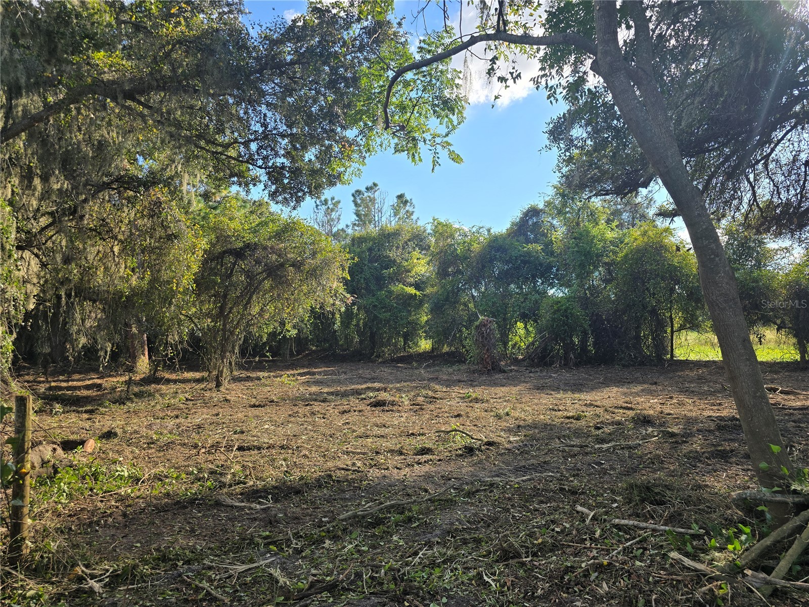 Cr 736 Center Hill FL 33514 OM707838 image6