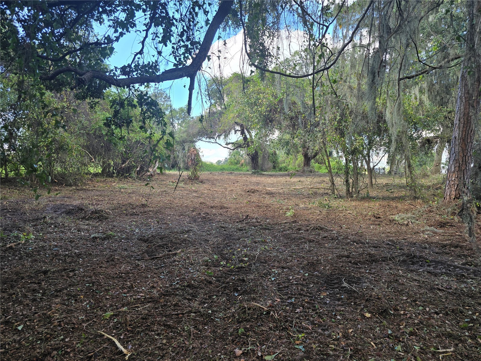 Cr 736 Center Hill FL 33514 OM707838 image7