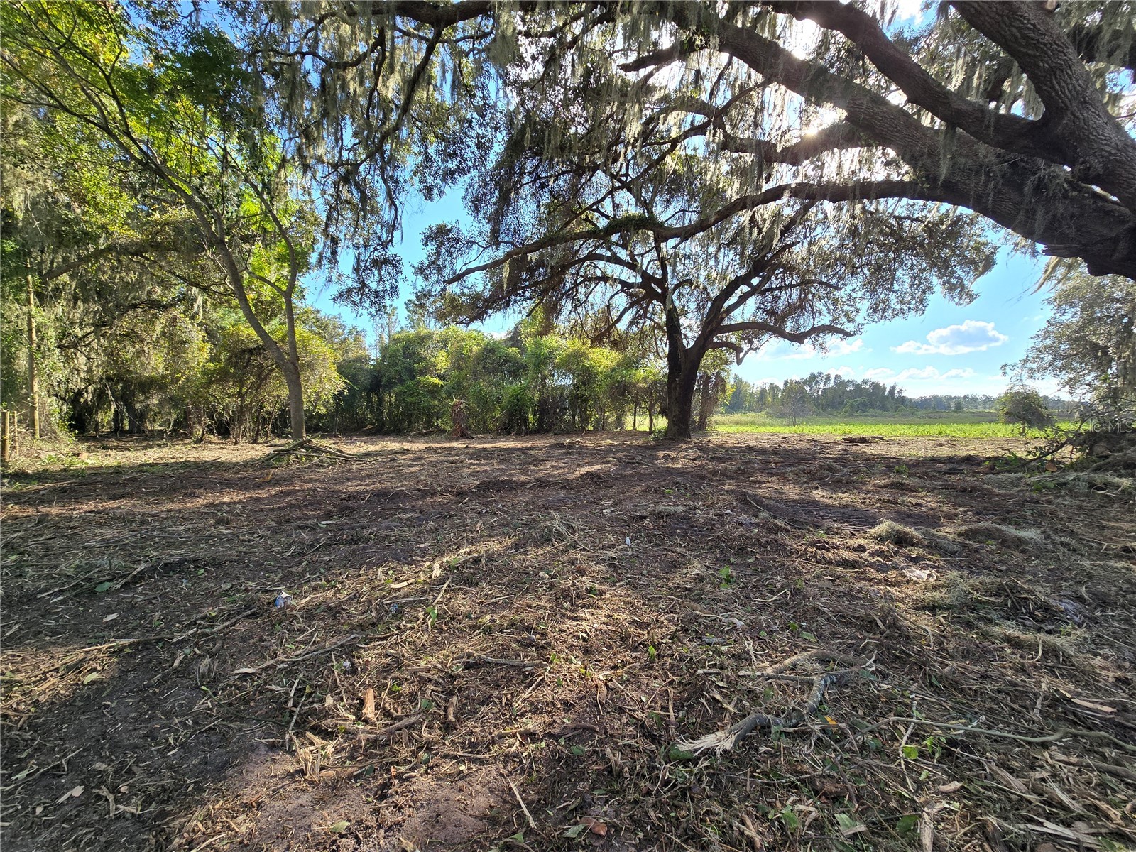 Cr 736 Center Hill FL 33514 OM707838 image9