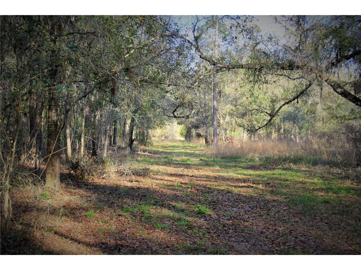 Cr 772b Webster FL 33597 O6282807 image1