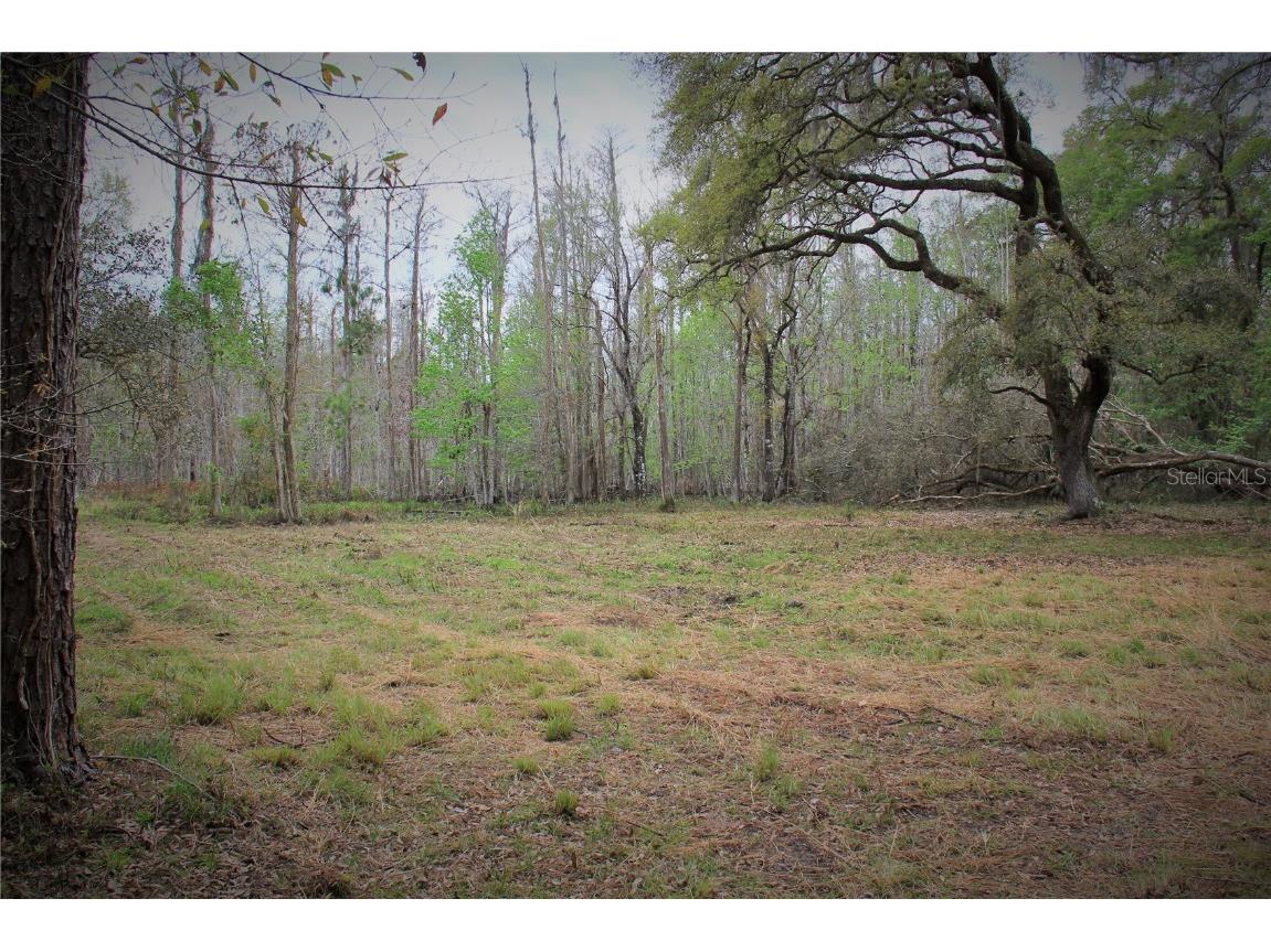 Cr 772b Webster FL 33597 O6282807 image10