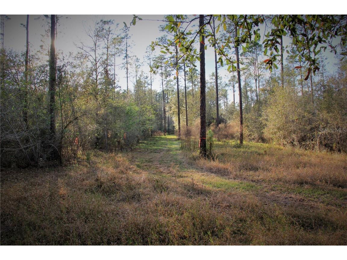 Cr 772b Webster FL 33597 O6282807 image11