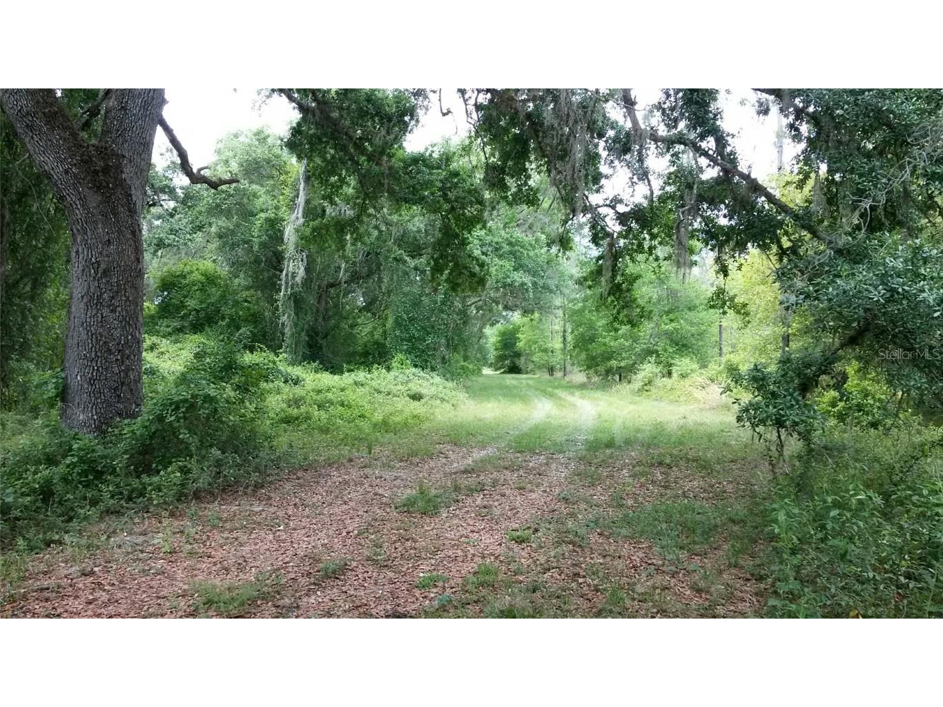 Cr 772b Webster FL 33597 O6282807 image12