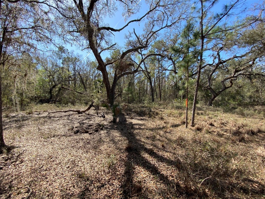 Cr 772b Webster FL 33597 O6282807 image14