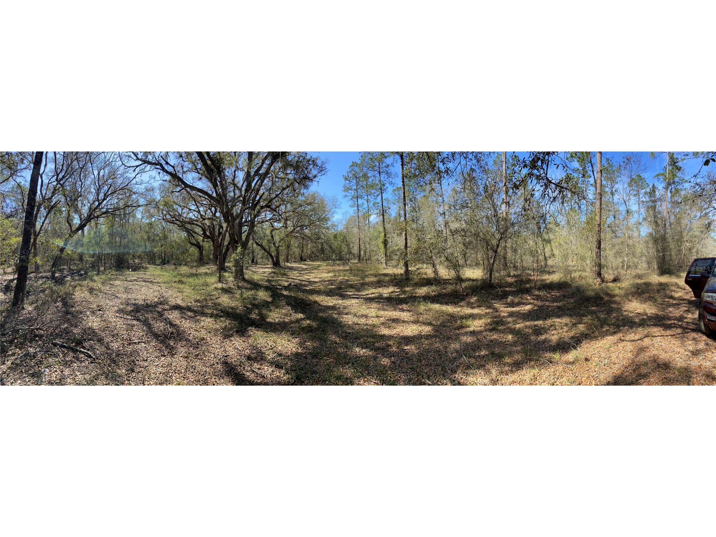 Cr 772b Webster FL 33597 O6282807 image15