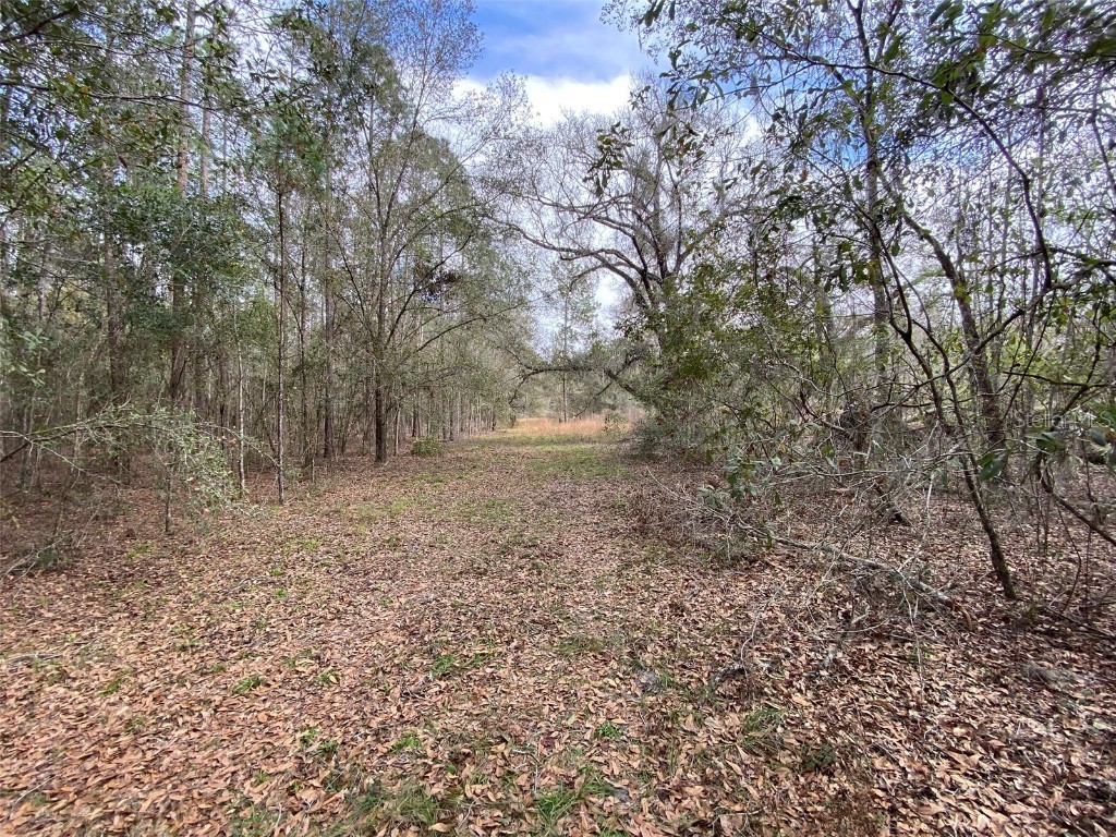 Cr 772b Webster FL 33597 O6282807 image17