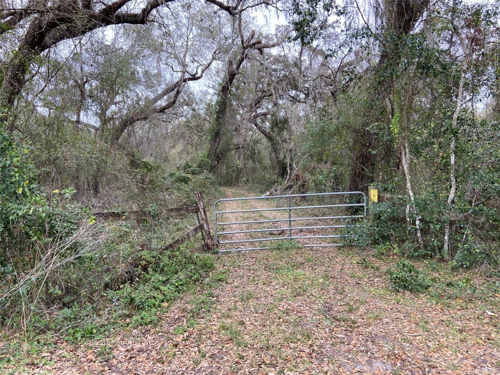 Cr 772b Webster FL 33597 O6282807 image20