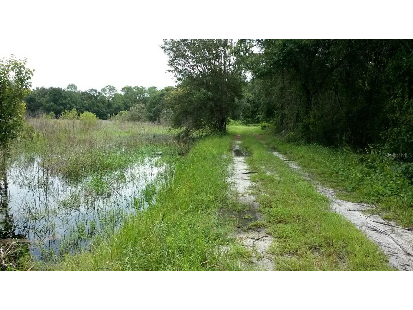 Cr 772b Webster FL 33597 O6282807 image21