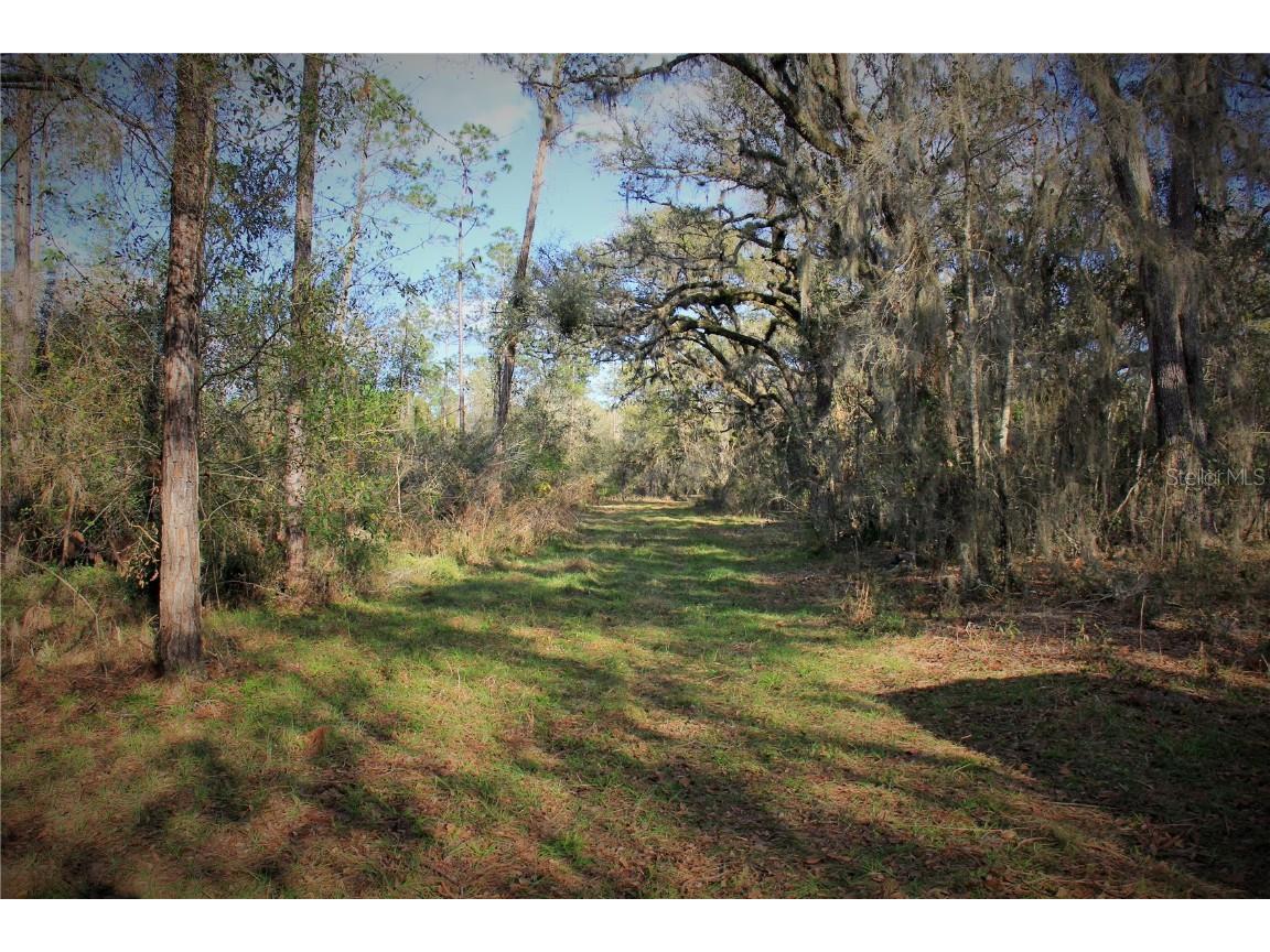 Cr 772b Webster FL 33597 O6282807 image23