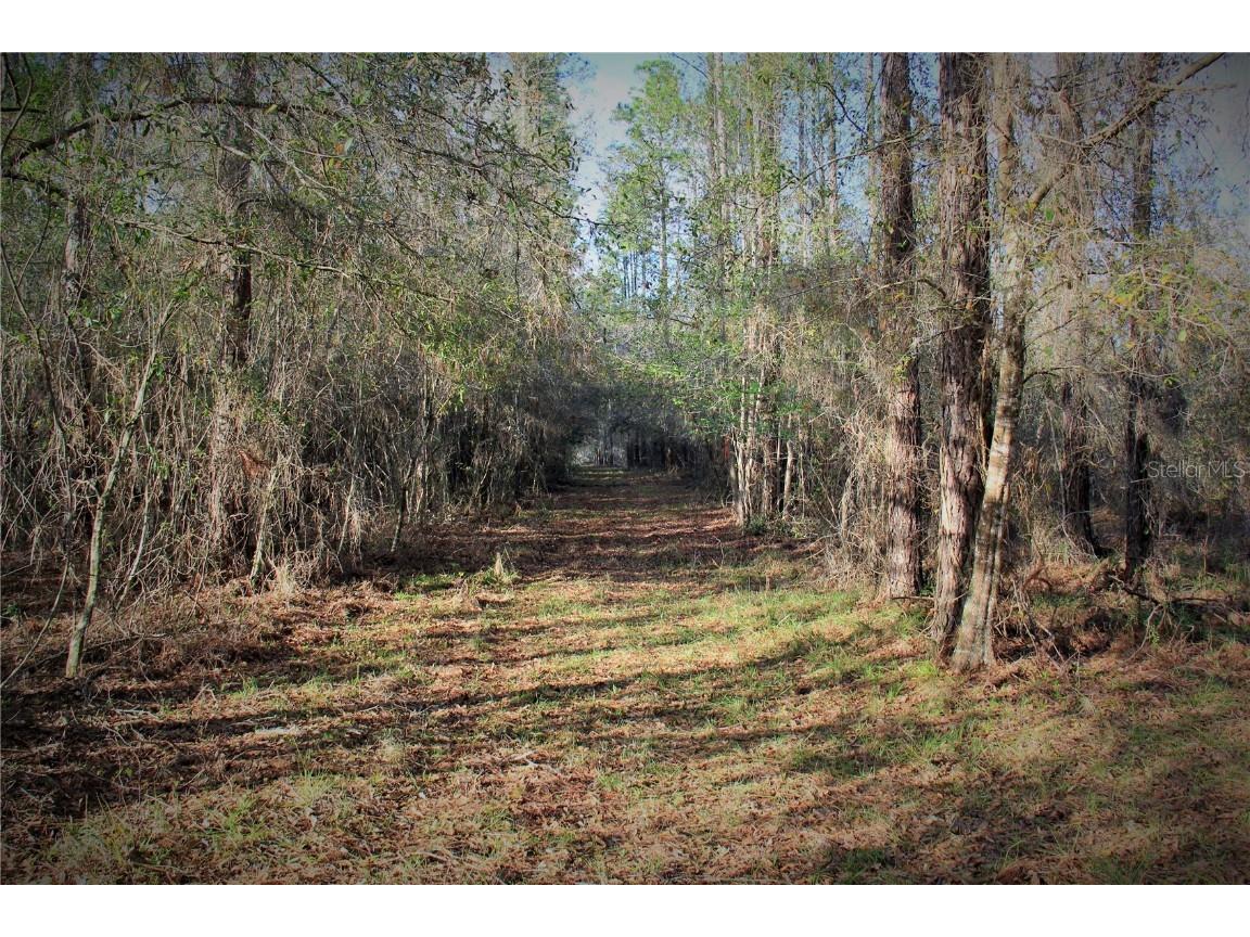 Cr 772b Webster FL 33597 O6282807 image24