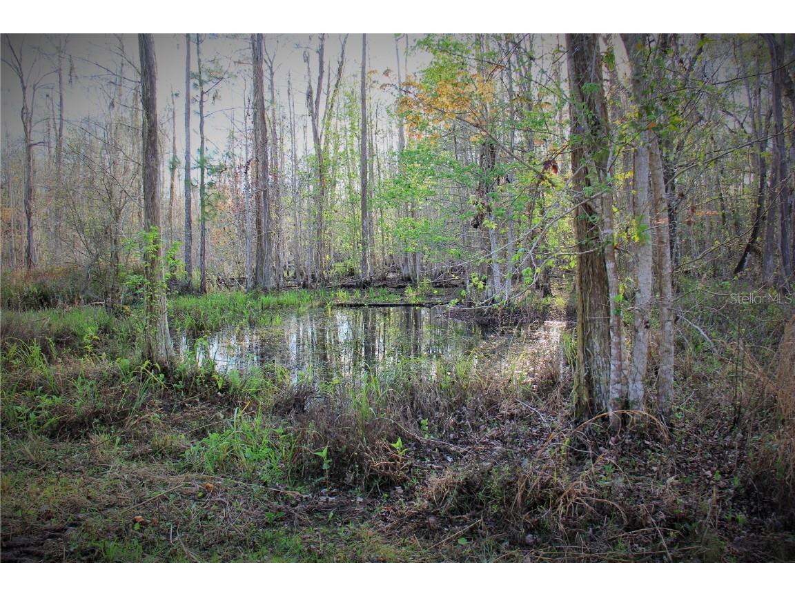 Cr 772b Webster FL 33597 O6282807 image25