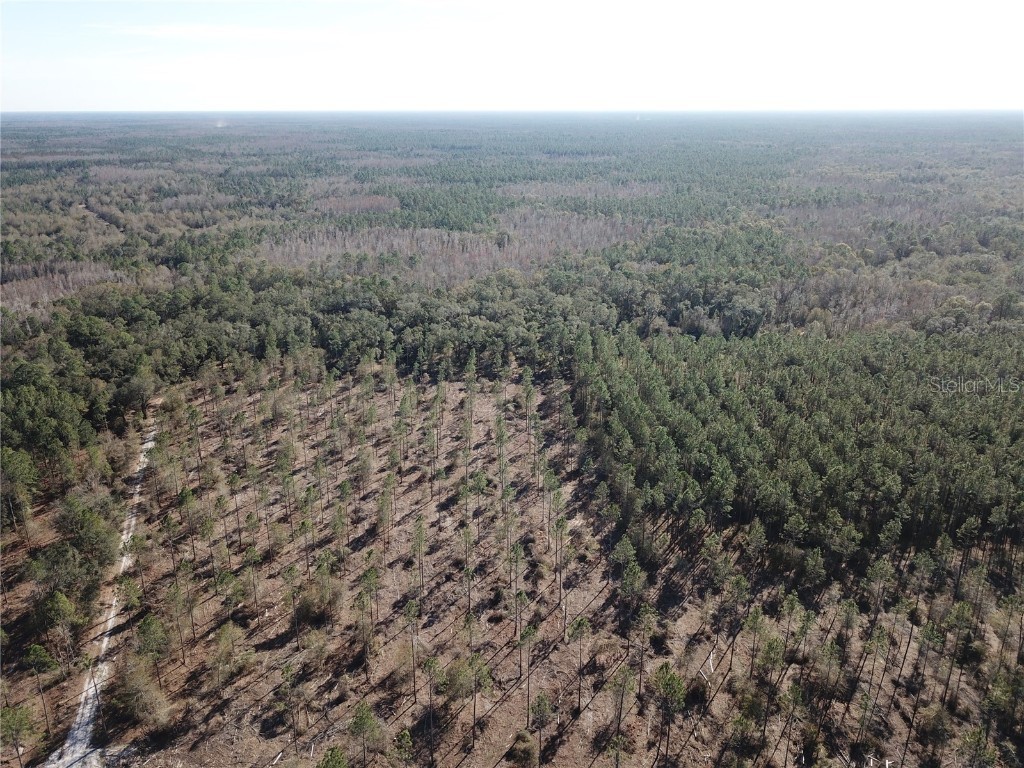 Cr 772b Webster FL 33597 O6282807 image26