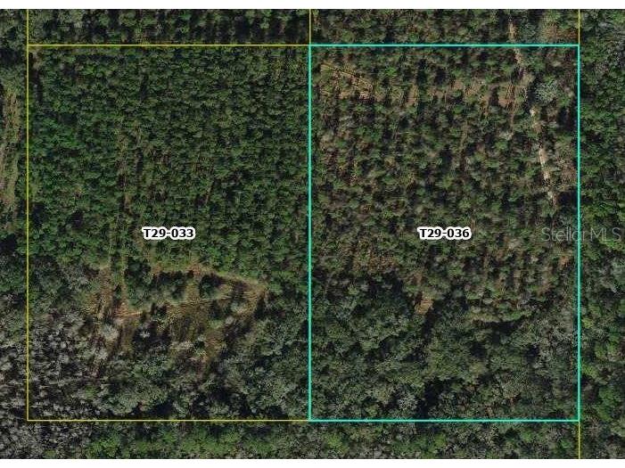 Cr 772b Webster FL 33597 O6282807 image3