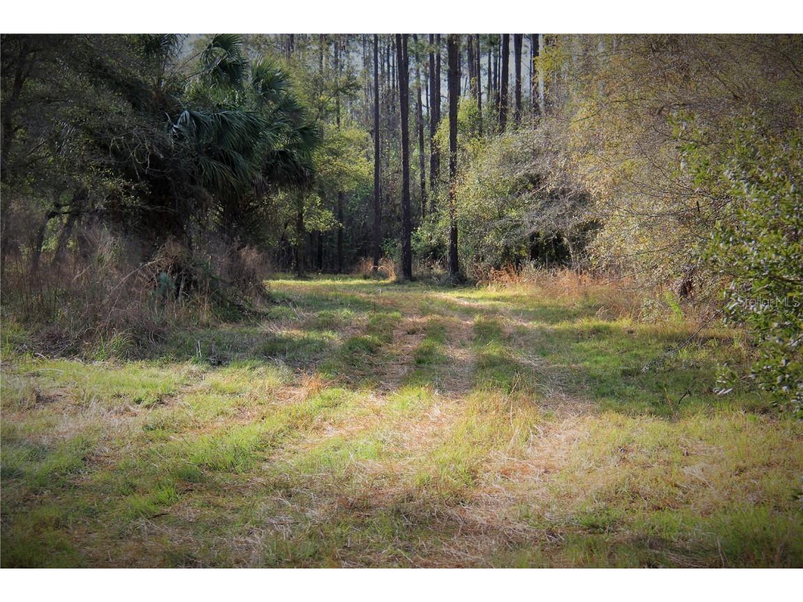 Cr 772b Webster FL 33597 O6282807 image6