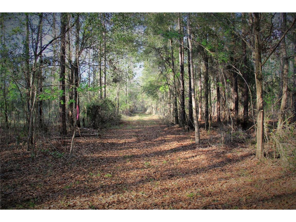 Cr 772b Webster FL 33597 O6282807 image7