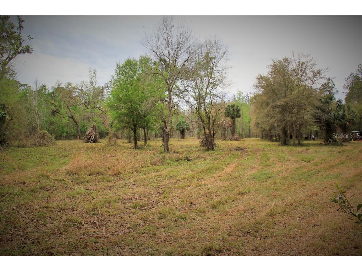 Cr 772b Webster FL 33597 O6282807 image8