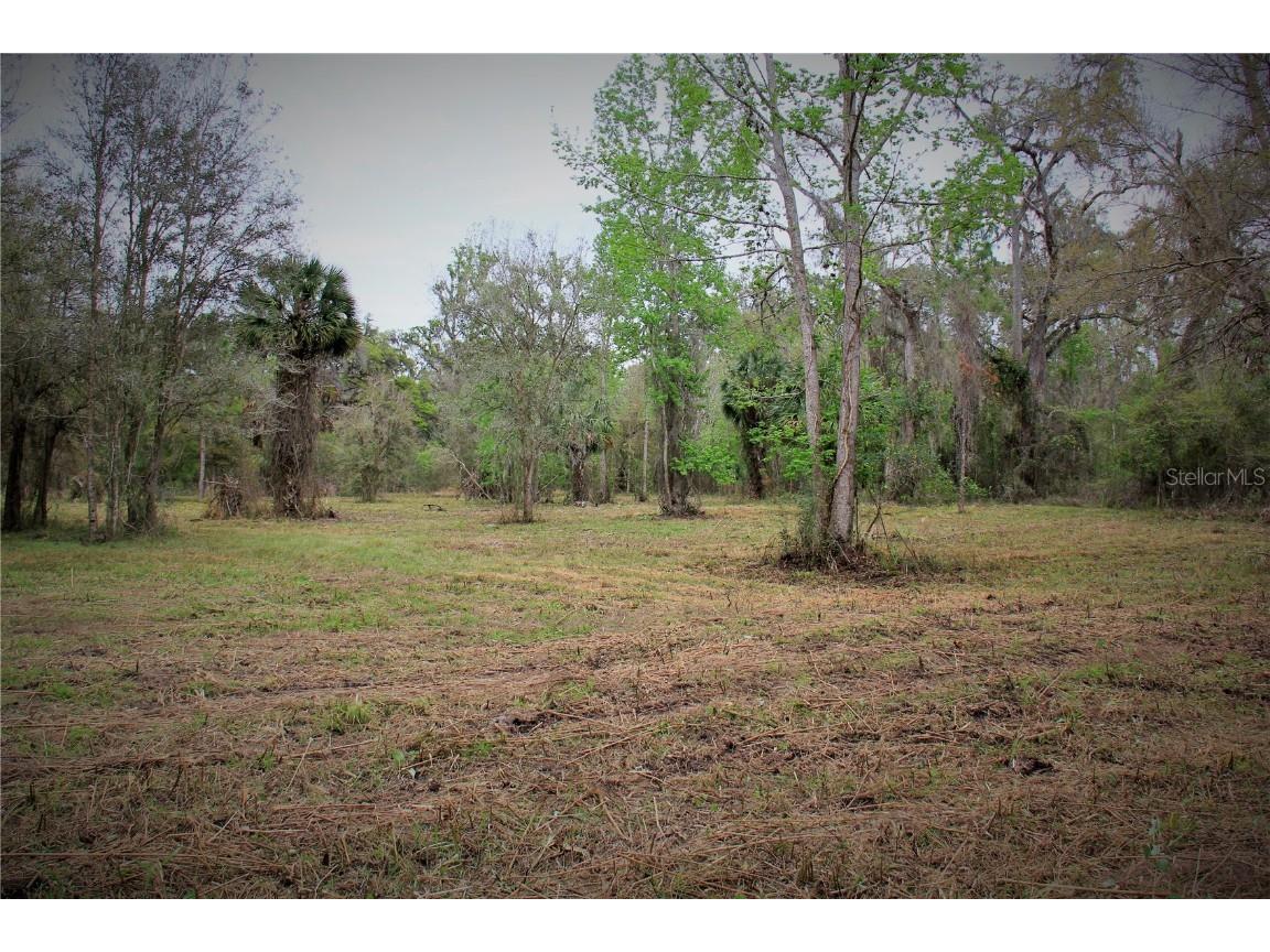 Cr 772b Webster FL 33597 O6282807 image9